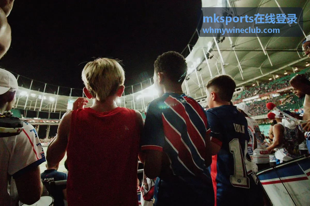 mksports在线登录指南与会员服务界面示意图