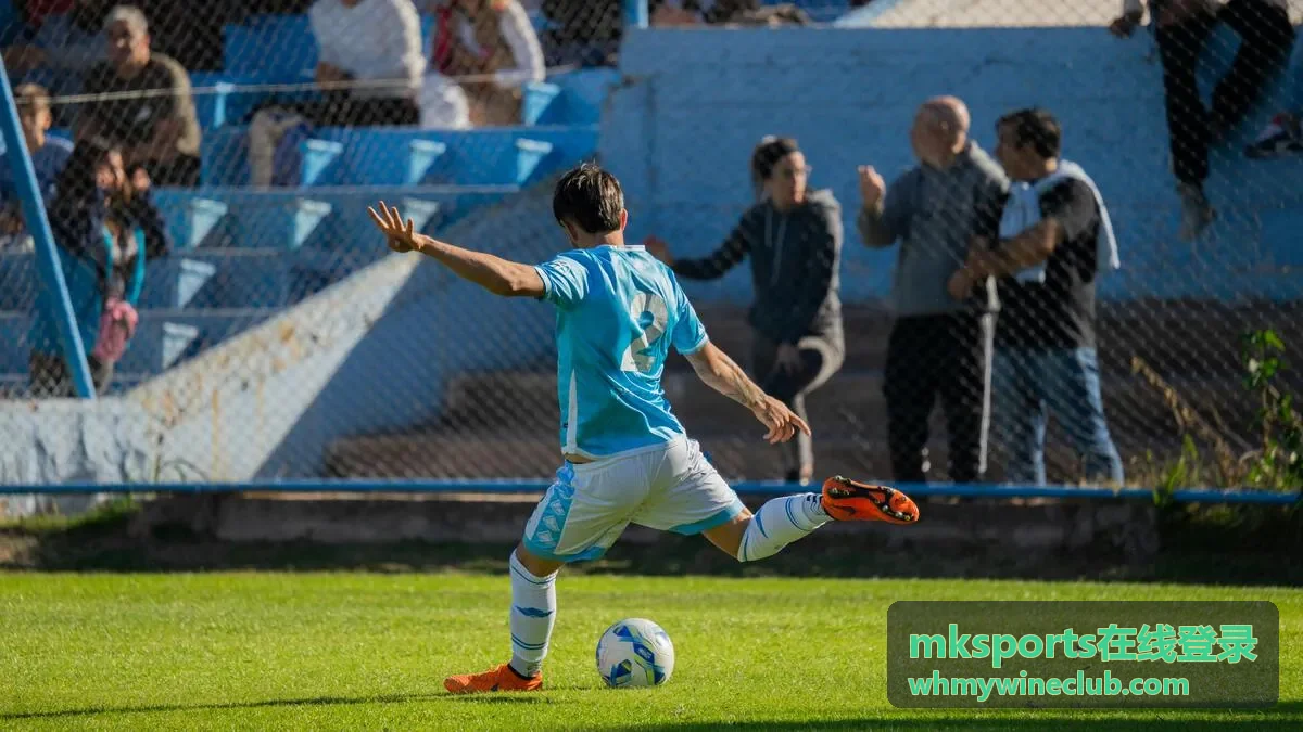 mksports在线登录首次注册流程画面