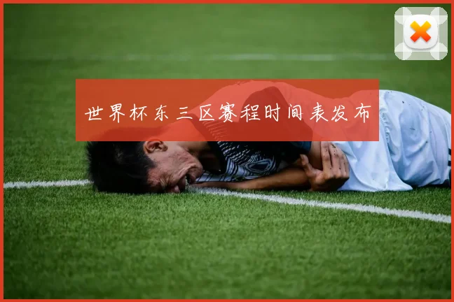 世界杯东三区赛程时间表发布