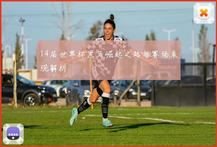 14届世界杯黑马崛起之路与赛场表现解析